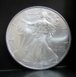 2010 SILVER EAGLE 1 OZ. FINE SILVER