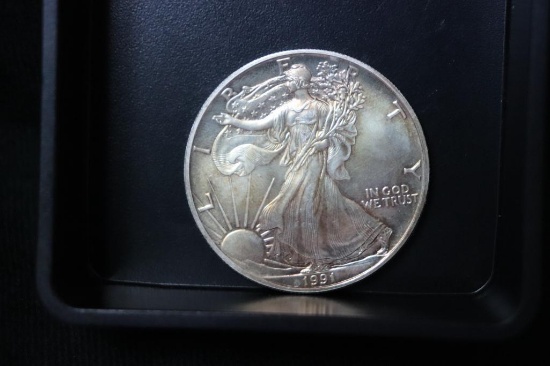1991 Silver Eagle 1 oz. Coin