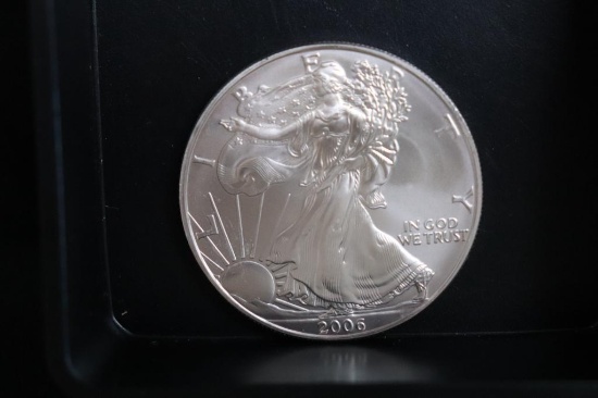 2006 Silver Eagle Silver Coin