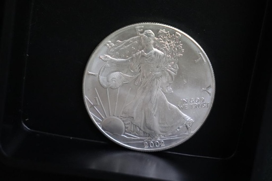 2002 Silver Eagle 1 oz. Silver Coin