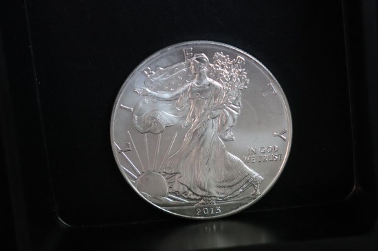 2013 Silver Eagle 1 oz. Silver Coin