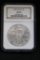 2005 Silver Eagle Coin