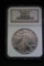 1989 Silver Eagle Coin