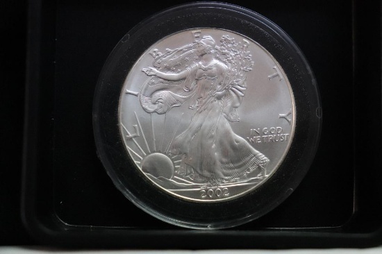 2002 Silver Eagle 1 oz. Silver