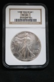 1993 Silver Eagle Silver Coin