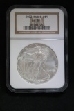 2003 silver Eagle Coin