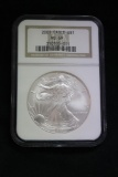 2001 Silver Eagle Coin