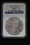 2013 Silver Eagle Coin