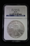 2007 Silver Eagle Coin