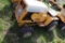 Vintage 102 International Cub Cadet Riding Mower