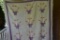 Vintage Quilt