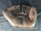 Early Wynn Baseball Glove