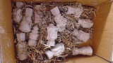 Box of Various Statues, Chinese influence Clay Unfired Unfinished