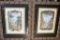 Lot of 2 Nature Drawings with Highly Decorative Border and Frame 36 tall 28 wide