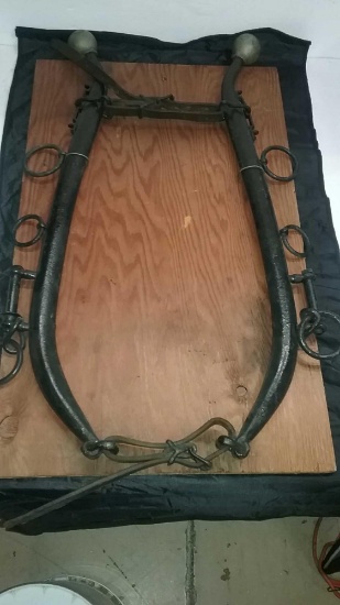 Pair of Metal topped Horse Hanes mounted