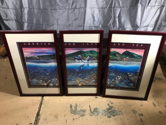 Framed art set 3 units - "Cherish Our Land and Sea"