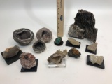 Rock Collection On Stands 12 Units