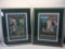 Set of 2 Framed Art, each 29.5x23in, says Hand Painted Silk