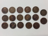 17 Indian Head Pennies 1881-1907