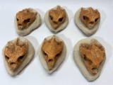 Turtle Skull Fossil Art, Lot of 6