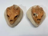 Turtle Skull Fossil Art, Lot of 2