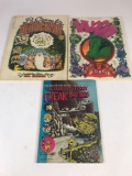 1960-1970s Comic Books 3 Units
