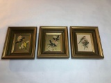 3 Units Matching Framed Bird Art