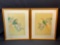 Pair of 2 Framed Signed Bird of Paradise Art, Each 17x21in