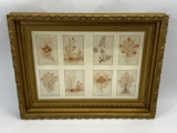 Vintage Framed Pressed Flowers from The Holy Land Art 20x26in