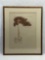 Signed W. Barnum framed tree art 96/250 Hand colored etching