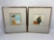 2 Signed Framed Paintings by Joan Savo, each 13x15in