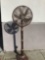 56 inch tall Island style oscillating fan powers on
