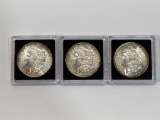 3 Morgan Dollars, Silver U.S. Dollar Coins, 1899-O, 1900-O, 1904-O