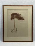 Signed W. Barnum framed tree art 96/250 Hand colored etching