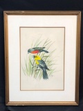 Signed & Framed Bird Artwork, says Novan