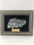 Pennsylvania Fossil Fern Framed