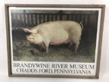 Pennsylvania Museum Pig Framed Art