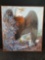 Rosemary Ball Mason Framed Painting Eagle