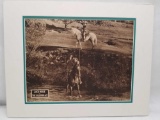 The Galloping Ace Matted Photo