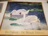 Box of 100 Ken Carlson 1989 Posters Swans