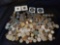 100+ Foreign Coin Lot