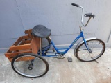 Miami Sun Beach Tricycle with Storage Crate