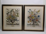 Floral Print Rob Furber Gardiner of Kensington Engraved by Fletcher 2 Units