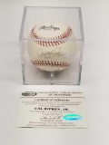 Cal Ripken Jr. Signed Baseball COA