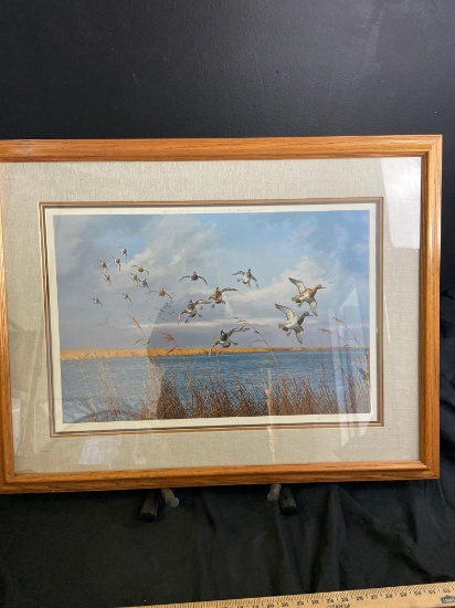 Limited edition Duck art Framed Lithograph