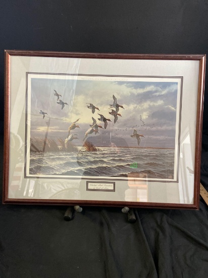 Framed Duck art lithograph By David A Mass