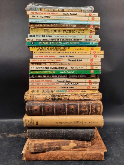 Book Lot, Charlie Brown, Snoopy, Older Books