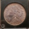 1881 Morgan Silver Dollar bu++ toned beauty in plastic slab 90% silver