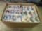 Box Full of Baseball Cards in Pages