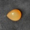 3.86ct Mexican Fire Opal Gem Stone Pear Shape Beauty